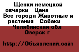 Щенки немецкой овчарки › Цена ­ 30 000 - Все города Животные и растения » Собаки   . Челябинская обл.,Озерск г.